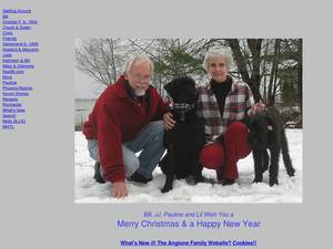 angione.com