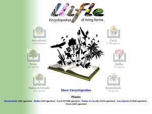 Llifle.com