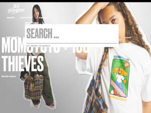 100thieves.com