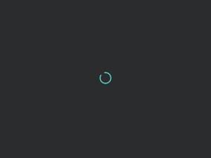 Wvd.org