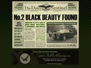 Theblackbeauty.com