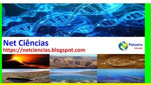 netciencias.blogspot.pt