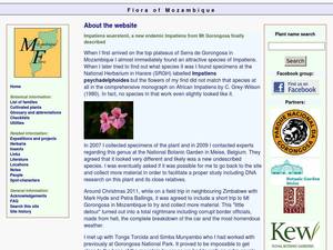 mozambiqueflora.com