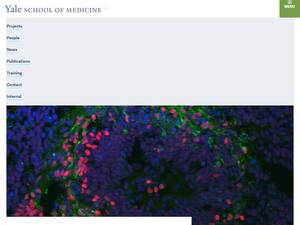 Vaccarinolab.org
