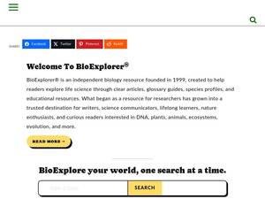 bioexplorer.net