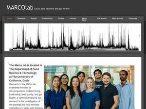 marcolab.net