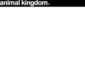 animalkingdomfilms.com
