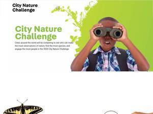 citynaturechallenge.org