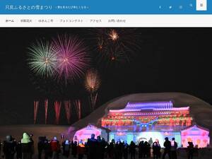 tadamisnowfes.com