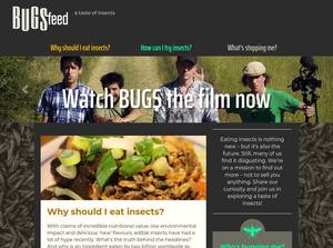 bugsfeed.com
