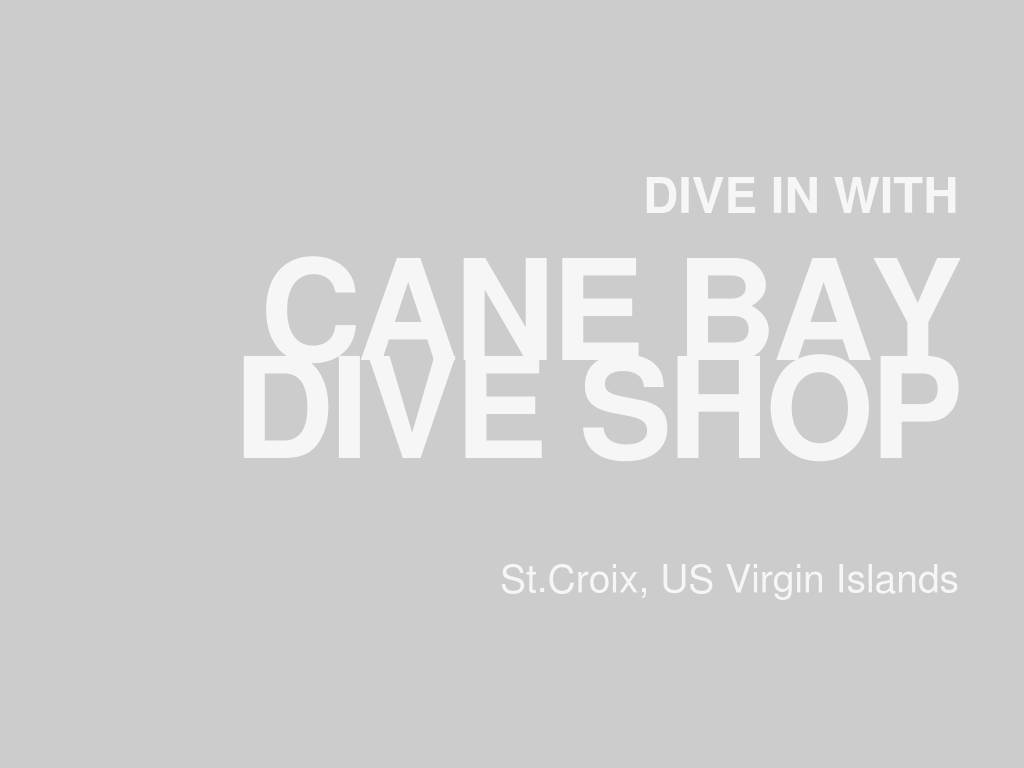 canebayscuba.com