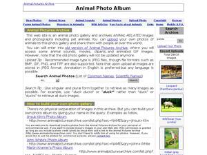 animalpicturesarchive.com
