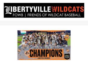 fowbaseball.org