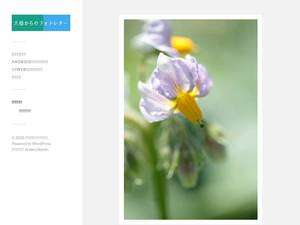 otsuchiphoto.com