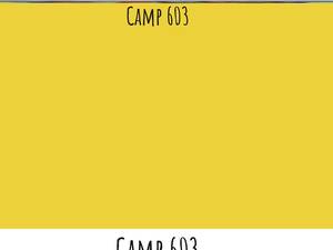 camp603.com