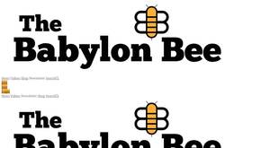 babylonbee.com