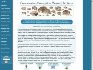 brainmuseum.org