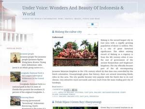 southofvoice.blogspot.com