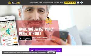 Buzzbee.pl