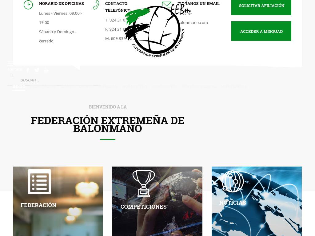 e-balonmano.com