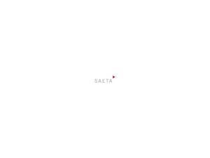 Saeta.net