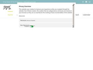 darnamir.com