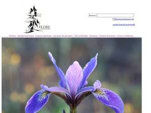 florelaurentienne.com