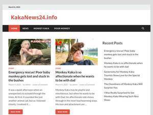 live-news24.info