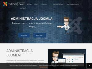 Trzepizur.pl