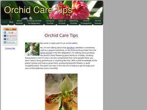 Orchid-care-tips.com