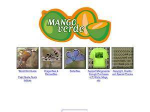 mangoverde.com