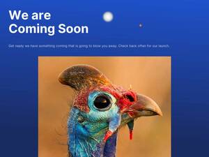 krugerparkbookings.com