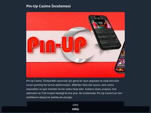 Pin-up312.com