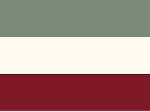 mainewindjammer.com