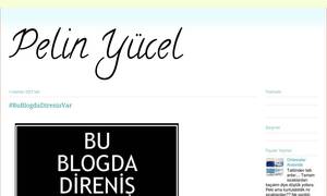 pelin-in.blogspot.com