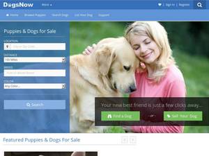 dogsnow.com