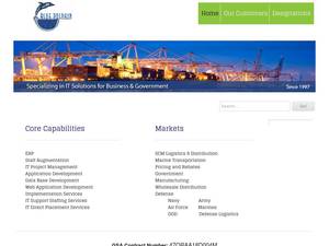 bluedolphinconsulting.com