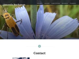 alynnbuchanan.com
