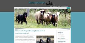 Bsca.info