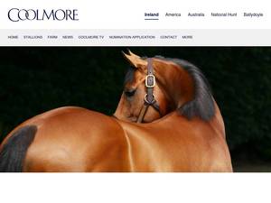 Ashfordstud.com