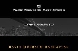 Davidbirnbaum.com
