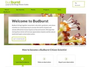 budburst.org