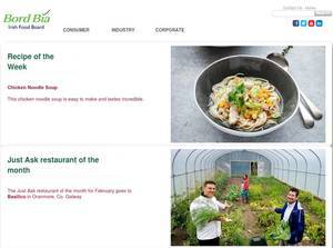 bordbia.ie