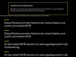 bvb.de