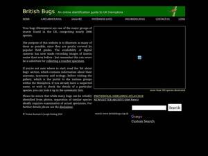 britishbugs.org.uk