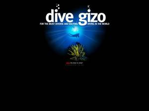 divegizo.com