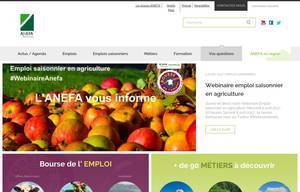 anefa.org