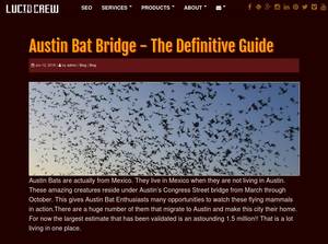 seekersofthebat.com