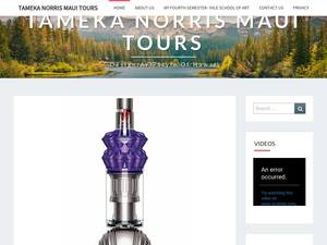 tamekanorrisart.com
