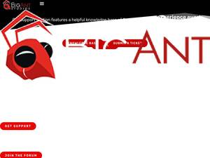 bigant.com